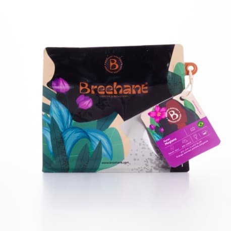 COFFEE BEAN BREEHANT MOGIANA BRAZIL 250G