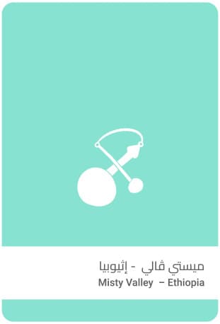 ميستي ڤالي - إثيوبيا - 250g- محمصة سلالات