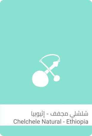 شلشلي مجفف - إثيوبيا - 250g - محمصة سلالات