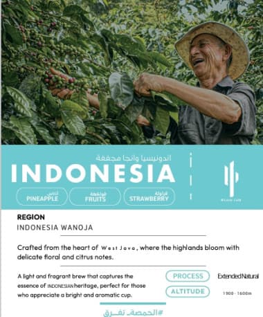 Cacti beans Indonesian Wanoja 250g Extended Natural- Cacti Roastery