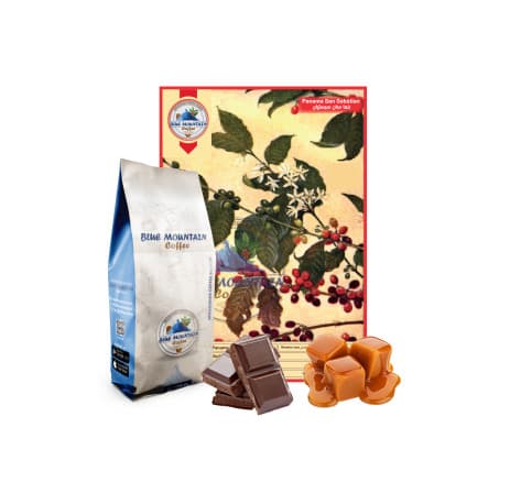 Blue Mountain Panama San Sebistian, Roasted Coffee Beans - 500gm