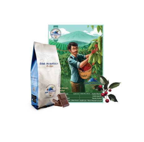 Blue Mountain Guatemala Mayan, Roasted Coffee Beans - 1000gm