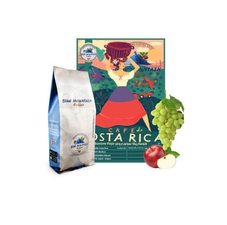 Blue Mountain Costa Rica Sonora Roio, Roasted Coffee Beans - 500gm