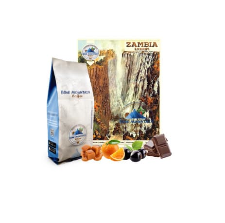 Blue Mountain Zambia Kachipapa, Roasted Coffee Beans - 500g