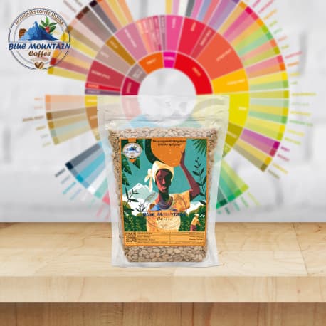Blue Mountain Nicaragua Matagalpa, Green Coffee Beans - 1Kg