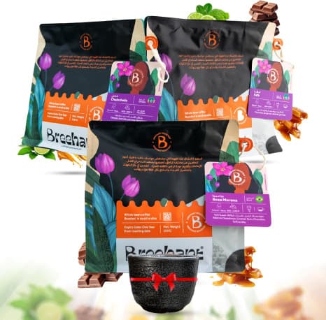 BREEHANT Luxury Whole Coffee Beans - Special Pack of 3 | Premium Arabica Blend
