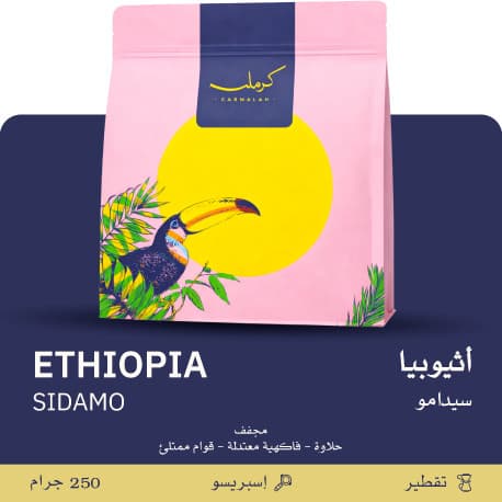 Ethiopia - Sidamo- Carmalah Roastery