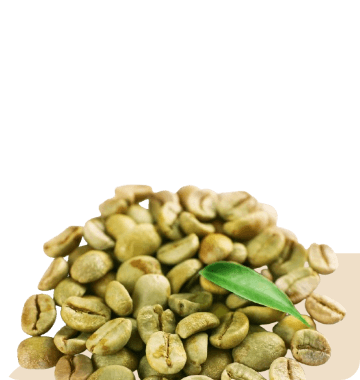 Green Coffee
